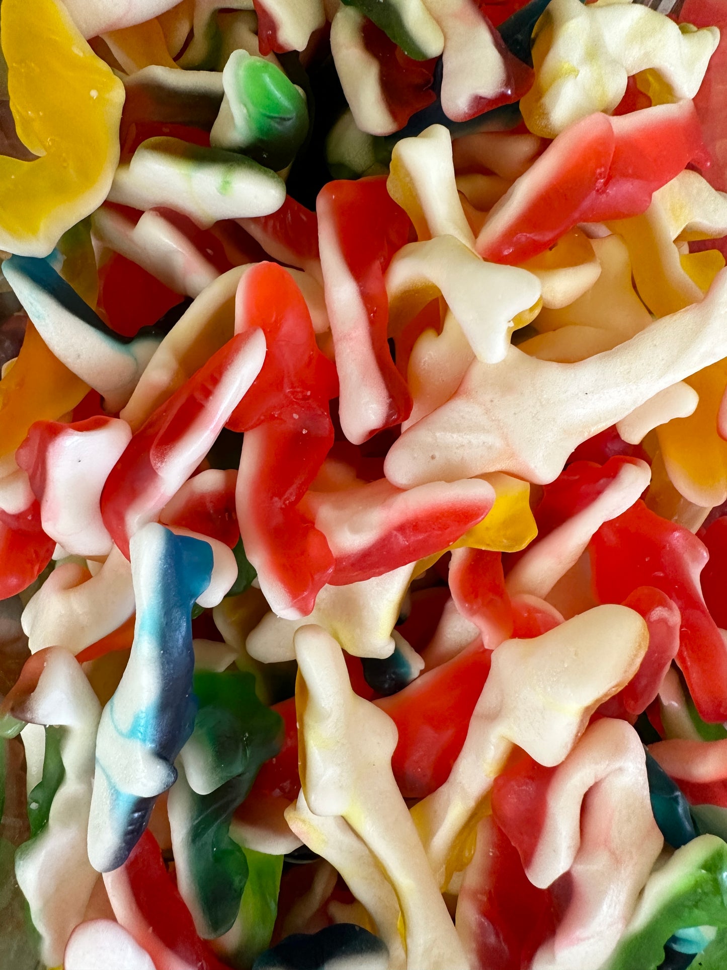 Gummy Sharks